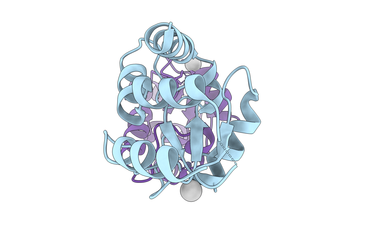 3DWD image