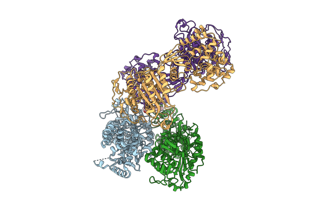 3DWK image