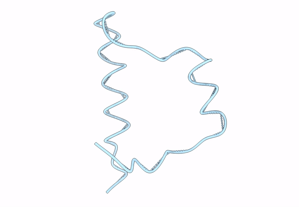 3DWU image