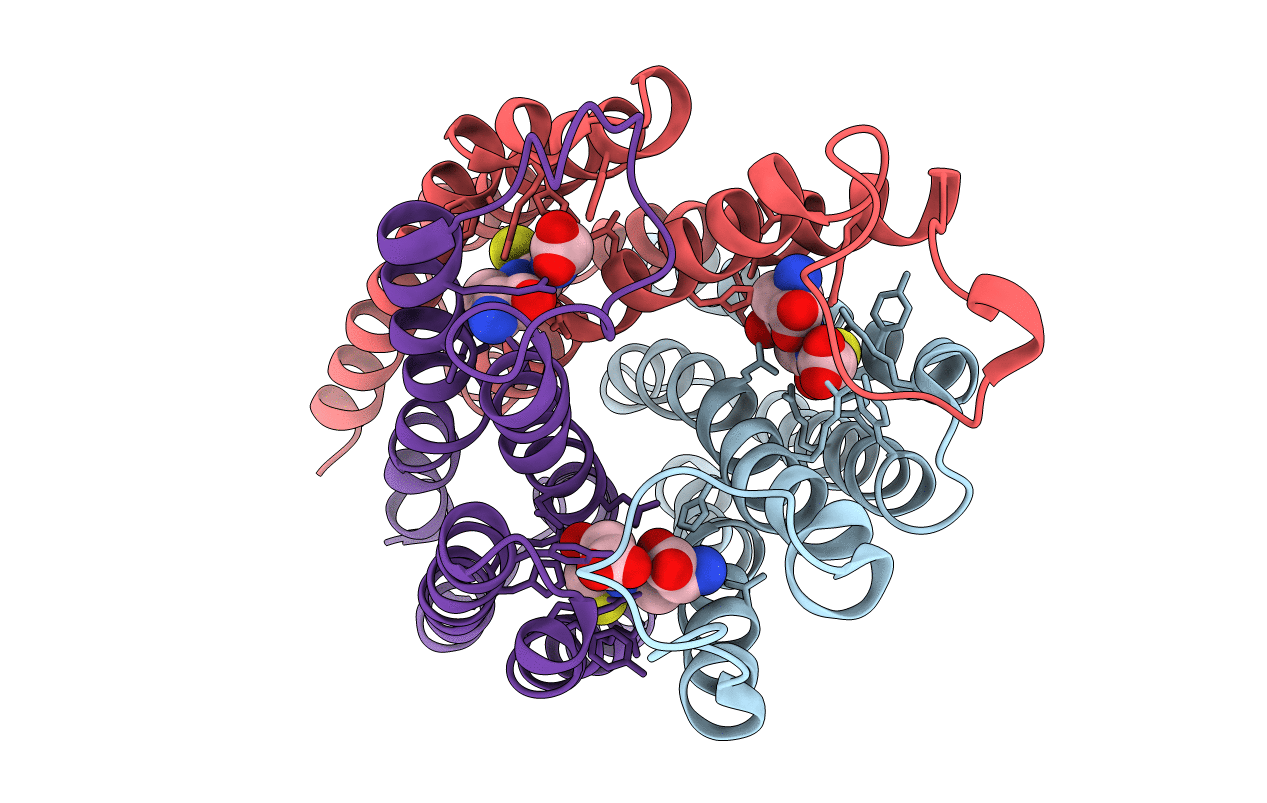 3DWW image