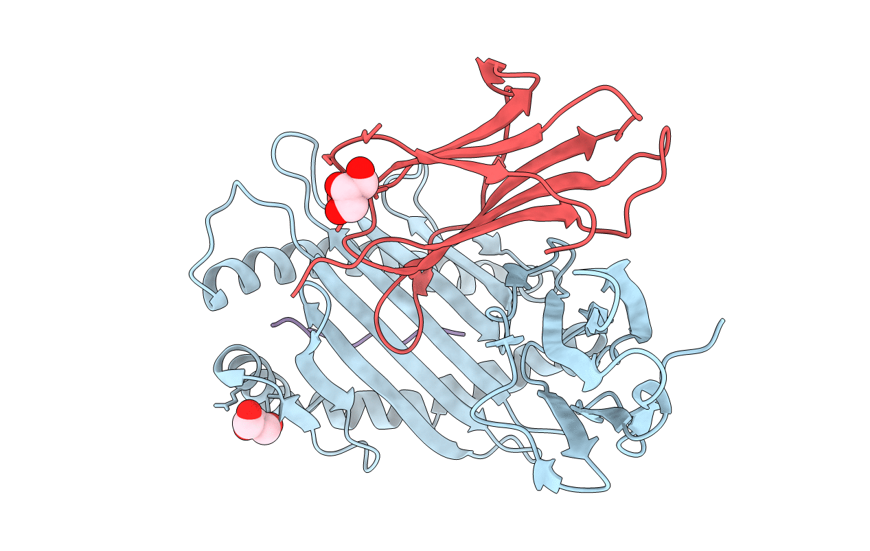 3DX8 image