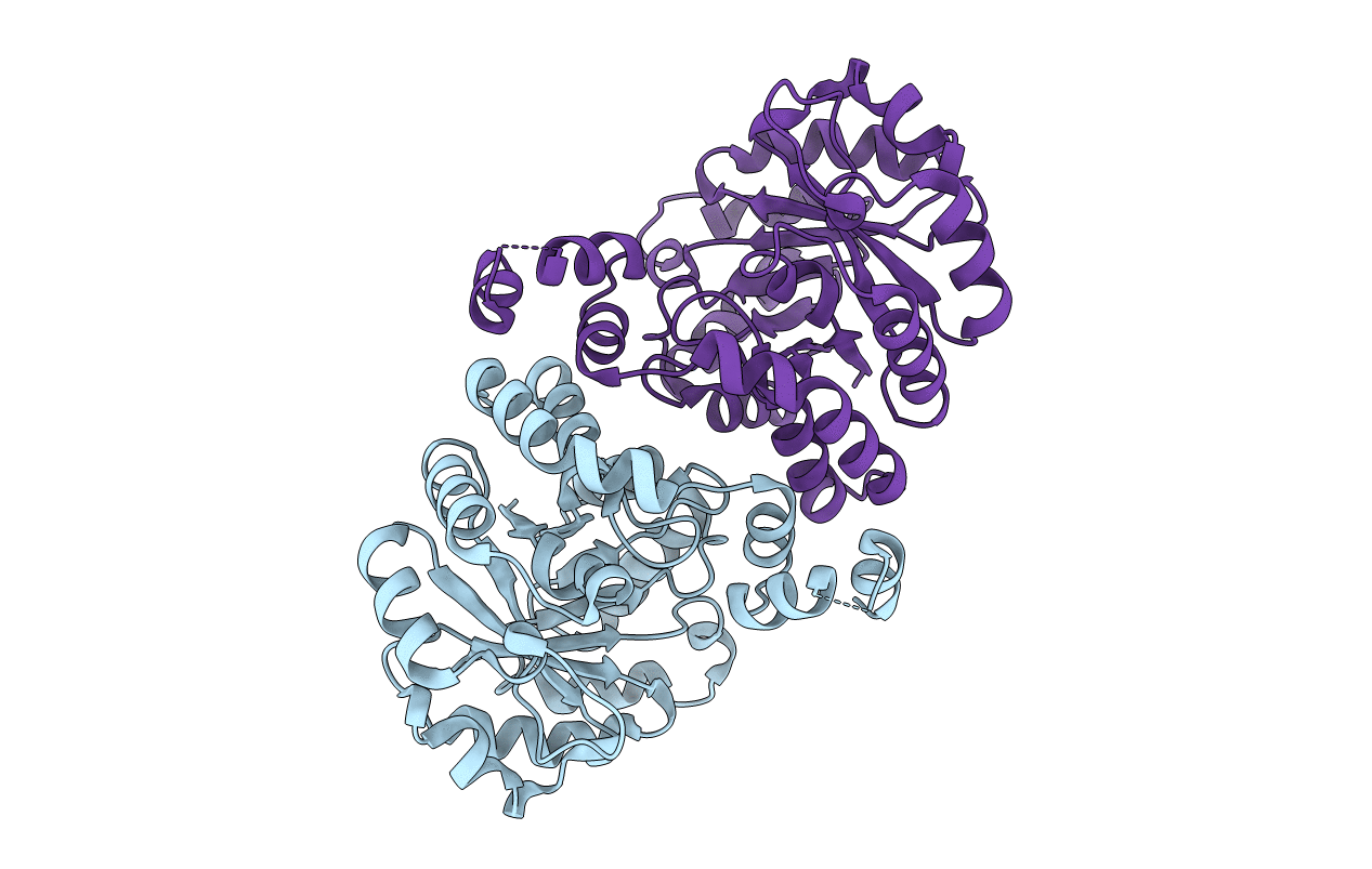 3DXI image