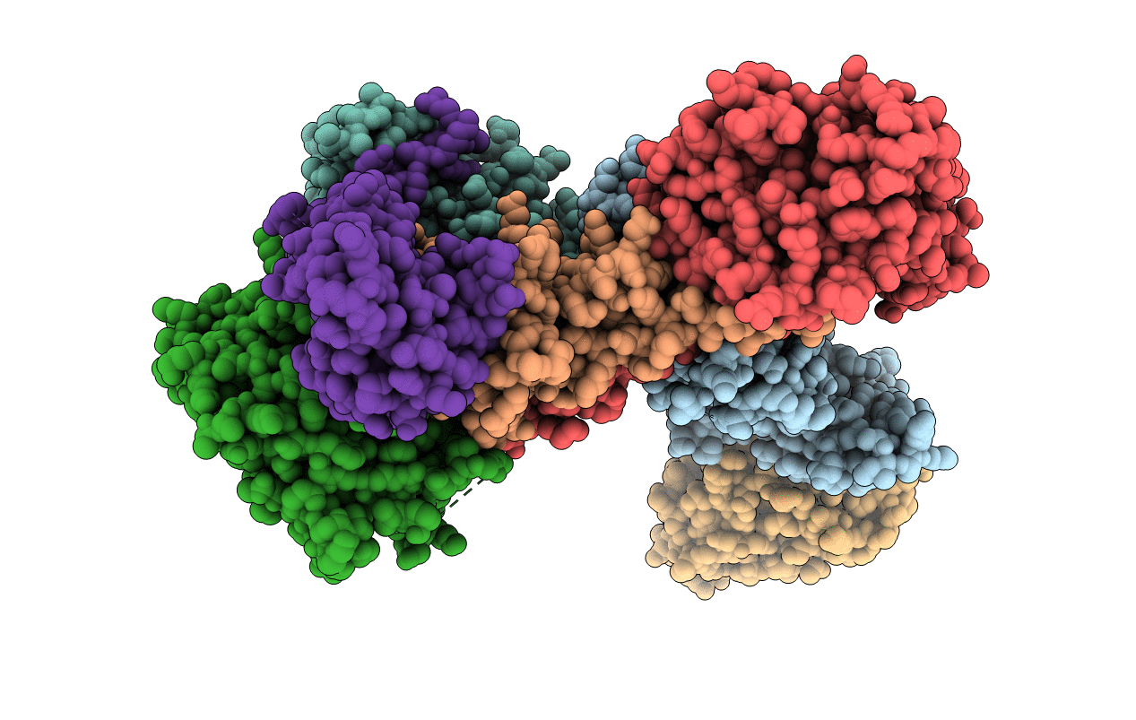 3DXM image