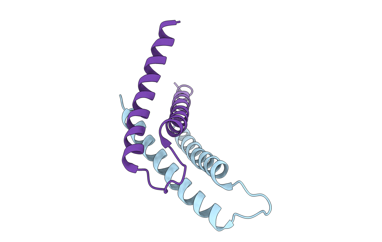 3DXR image