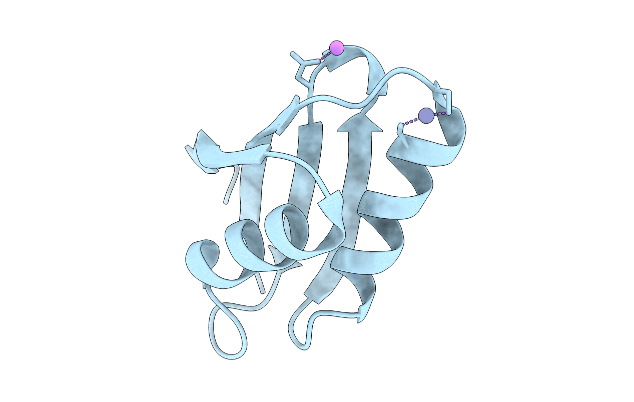 3DXS image
