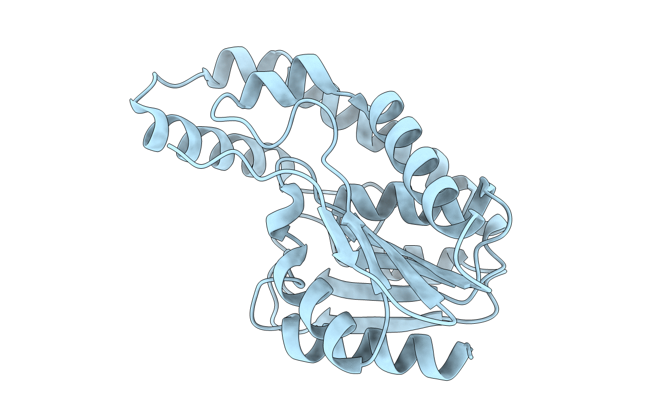 3DYI image