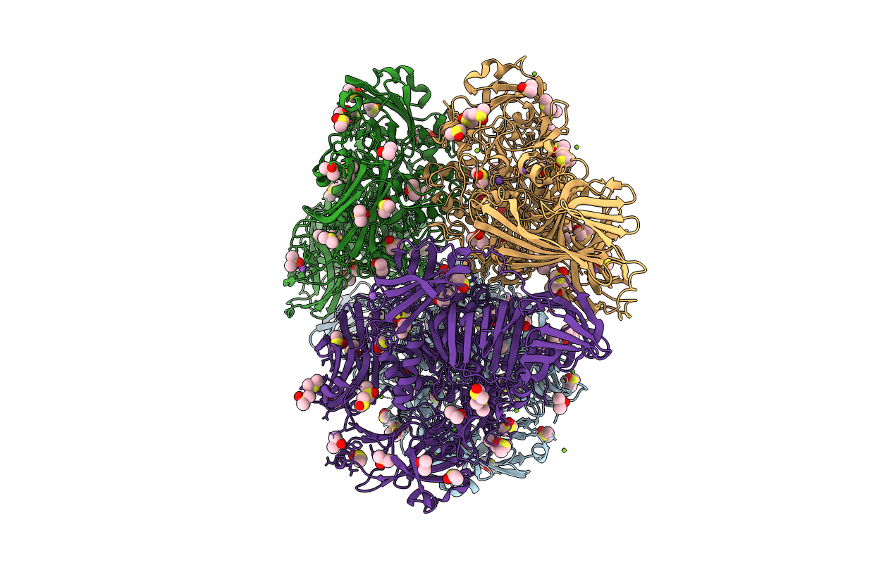 3DYP image