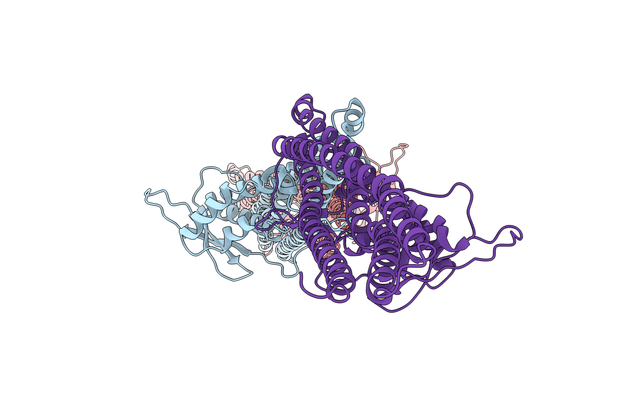3DYU image