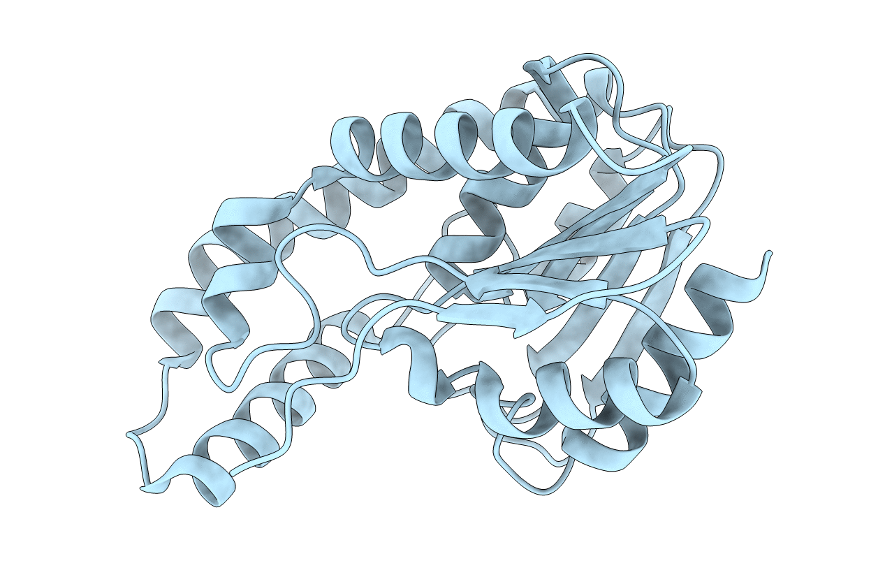 3DYV image