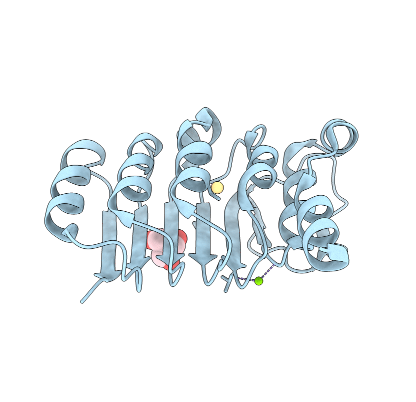 3DZE image