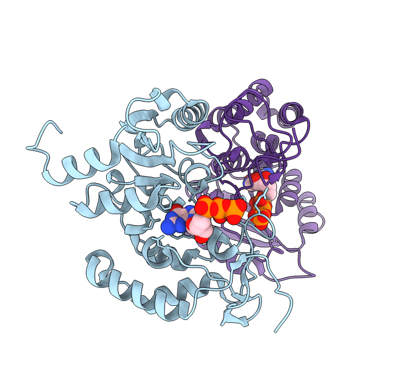 3DZH image
