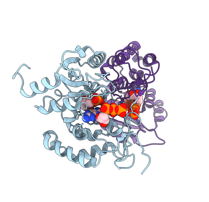 3DZI image
