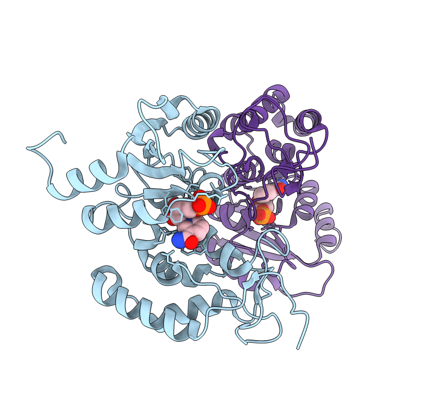 3DZJ image