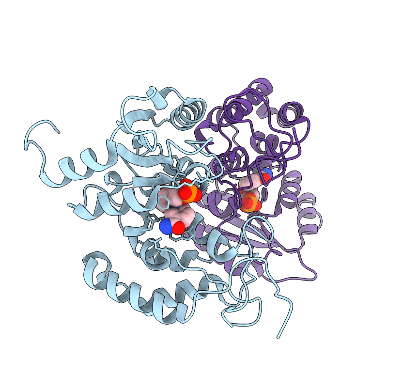 3DZK image