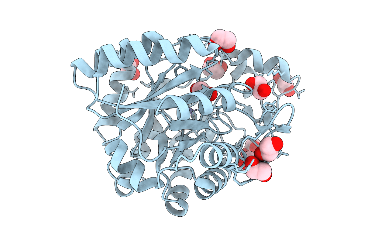 3E02 image