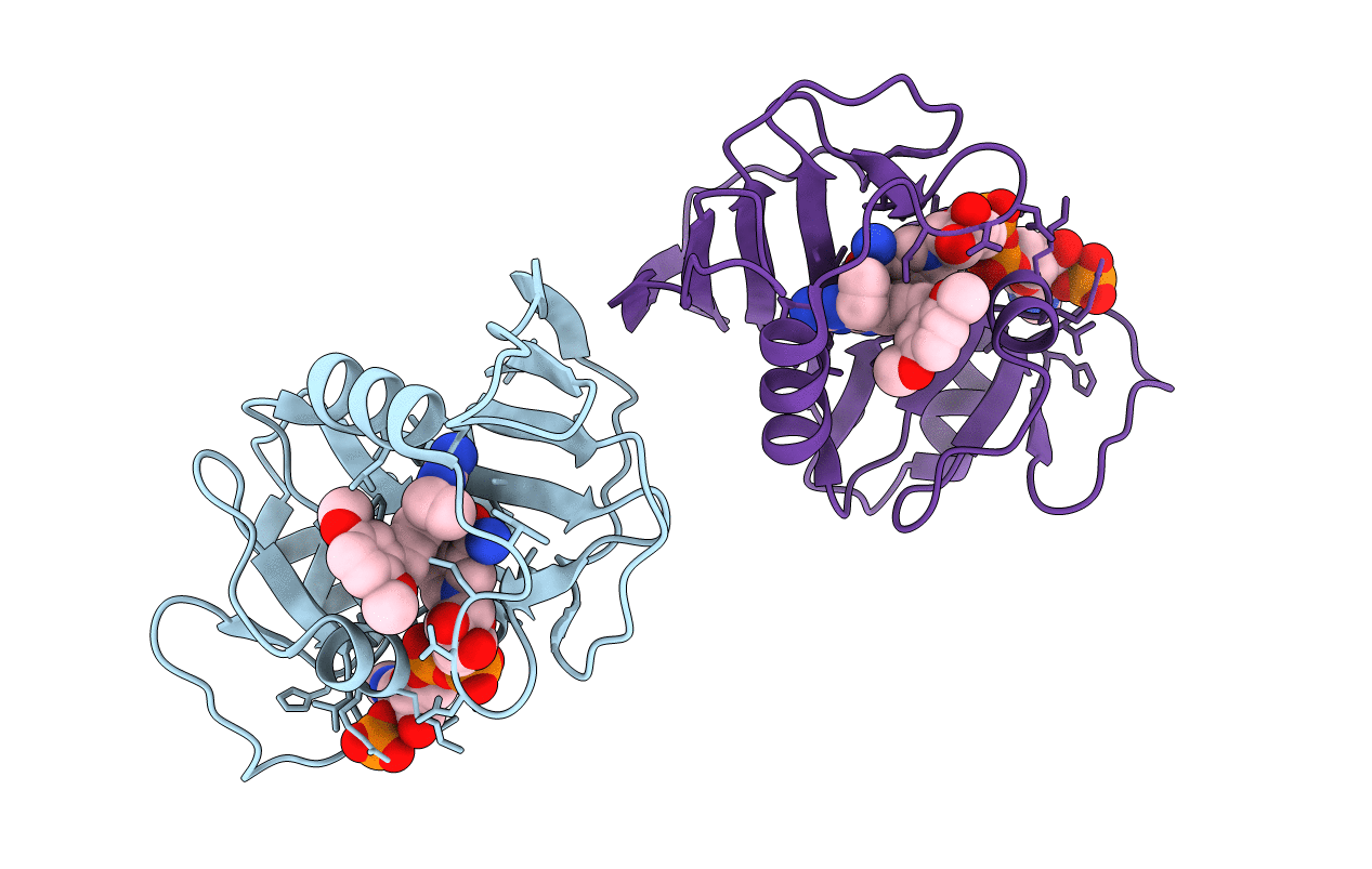 3E0B image