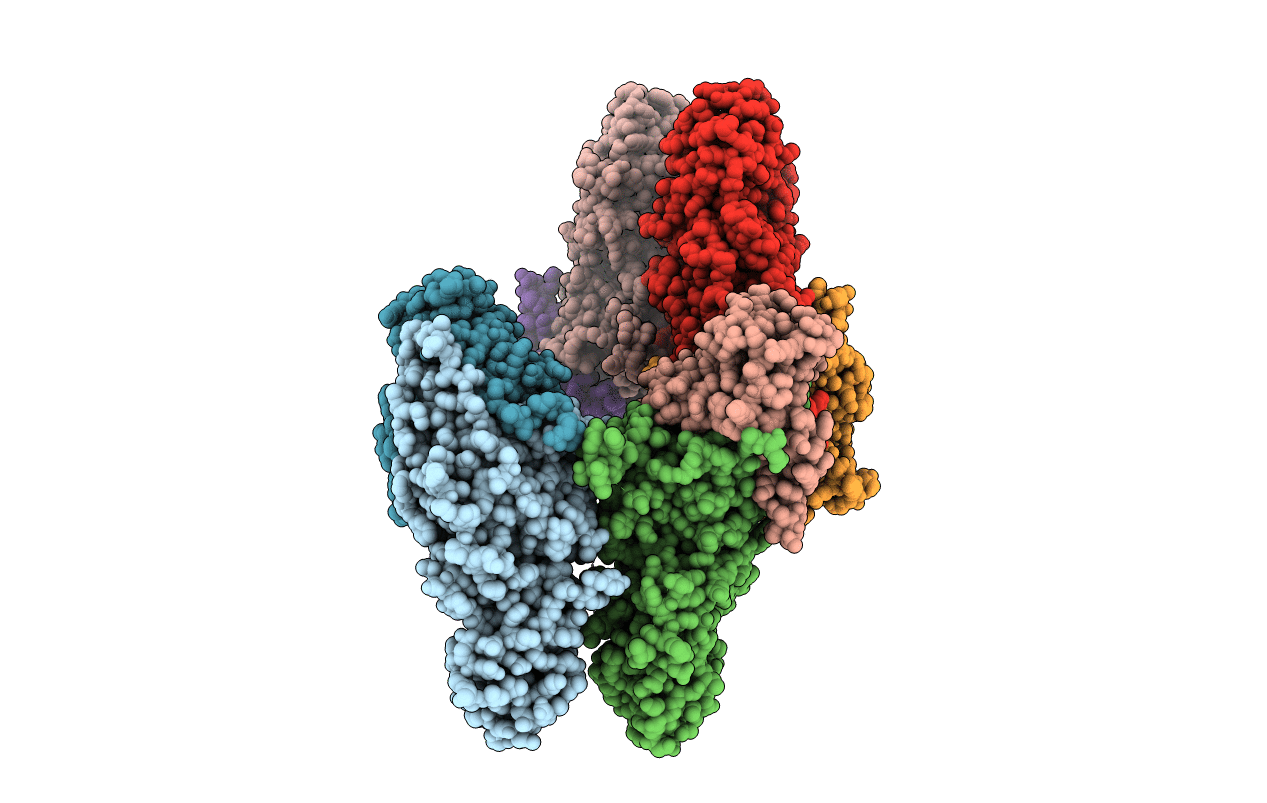 3E0J image