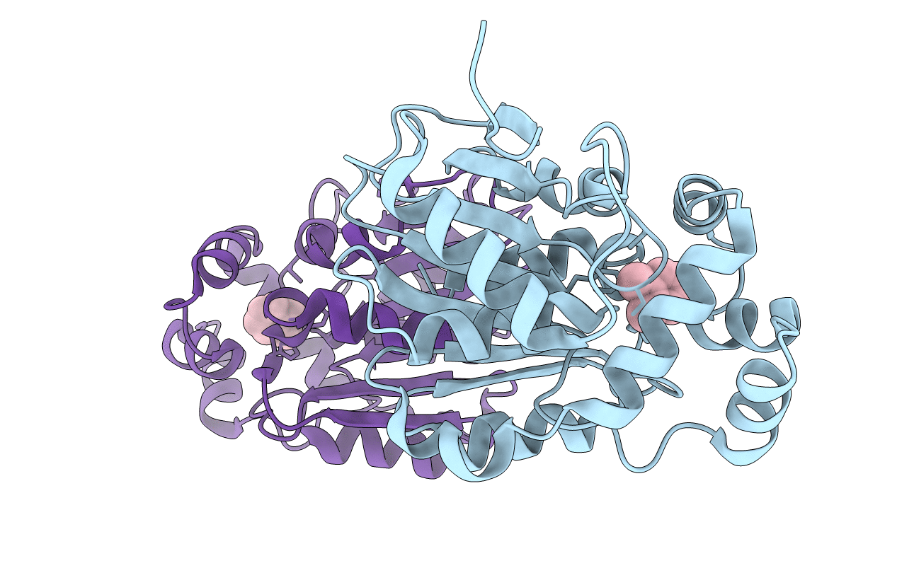 3E0X image