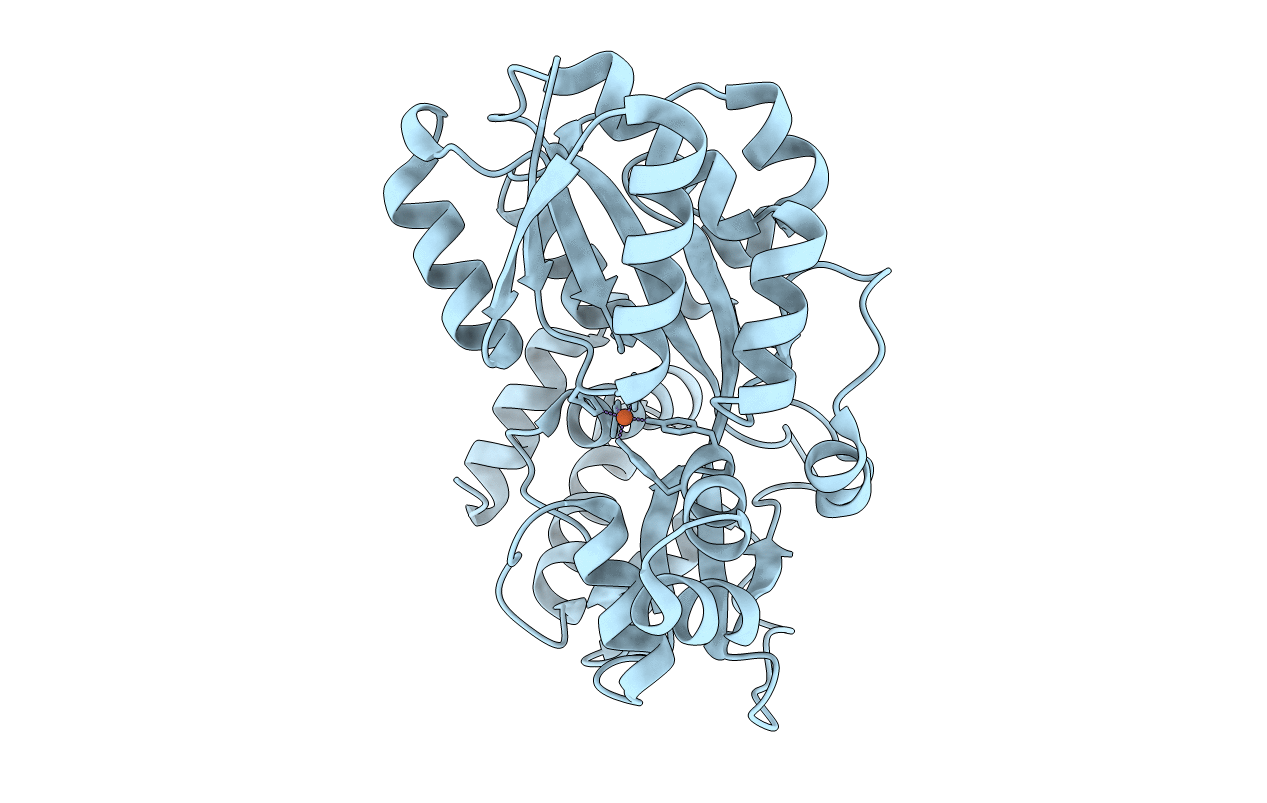 3E13 image