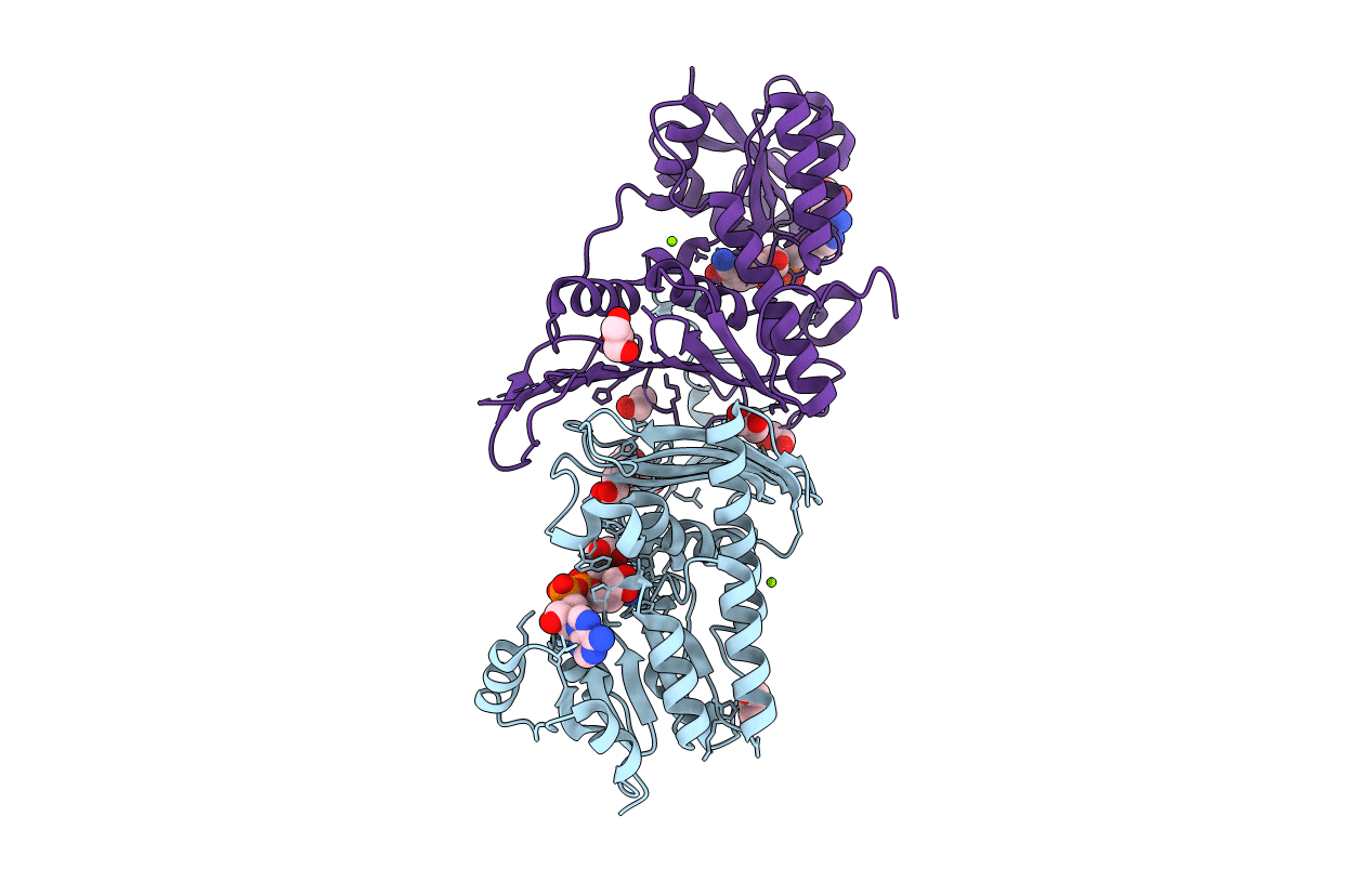 3E18 image