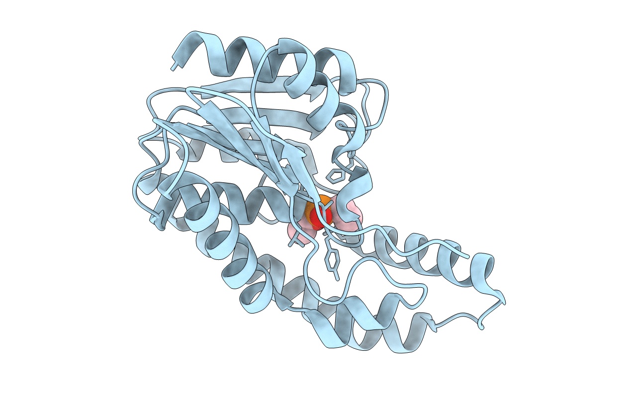 3E1G image