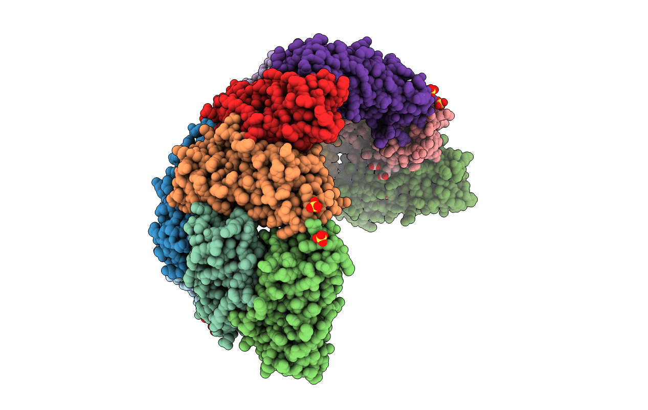 3E1P image