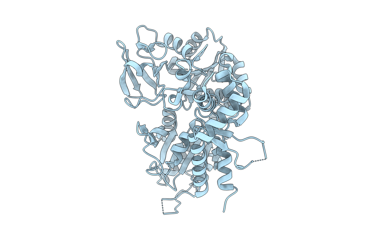 3E1S image