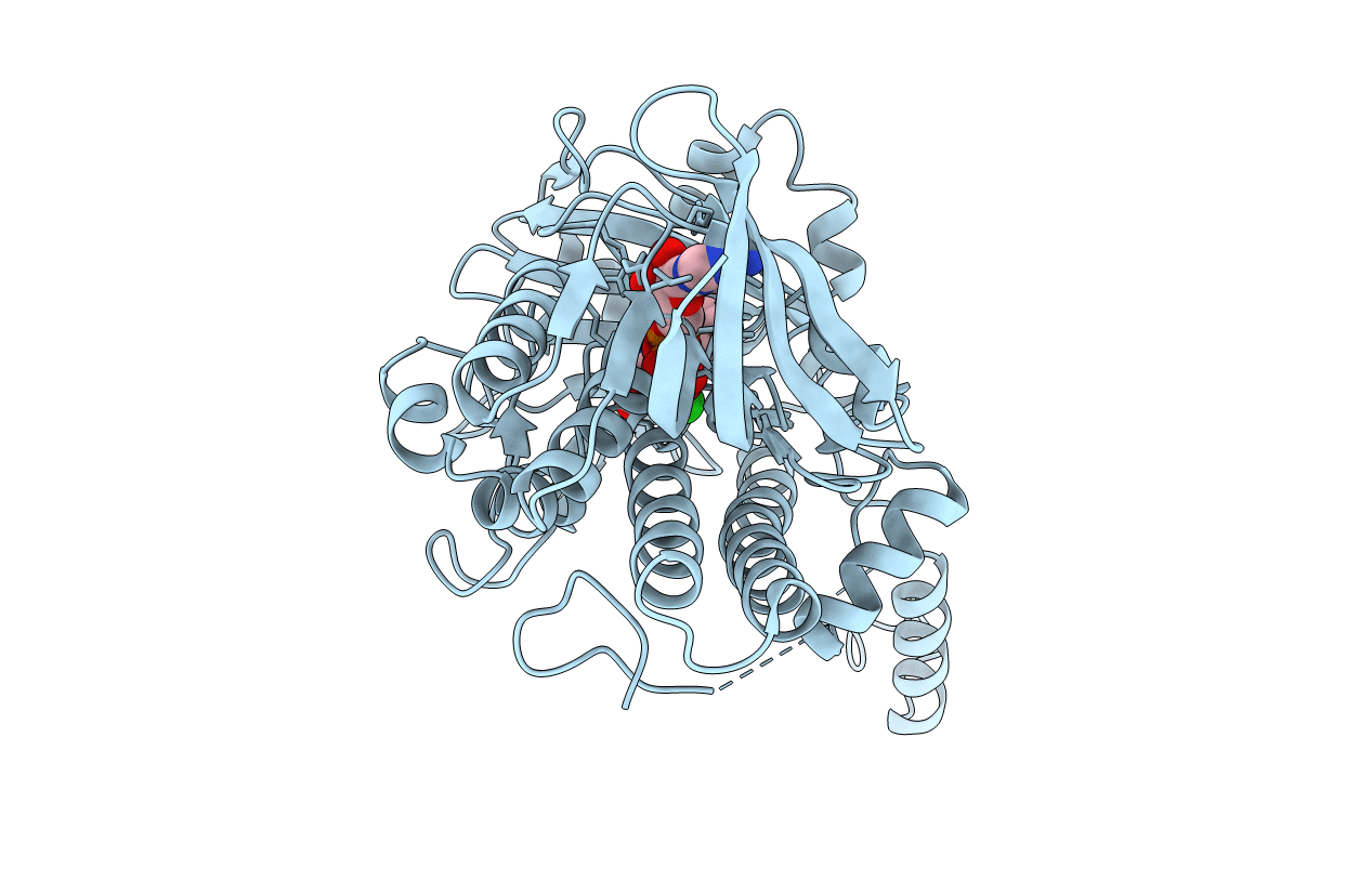 3E1T image