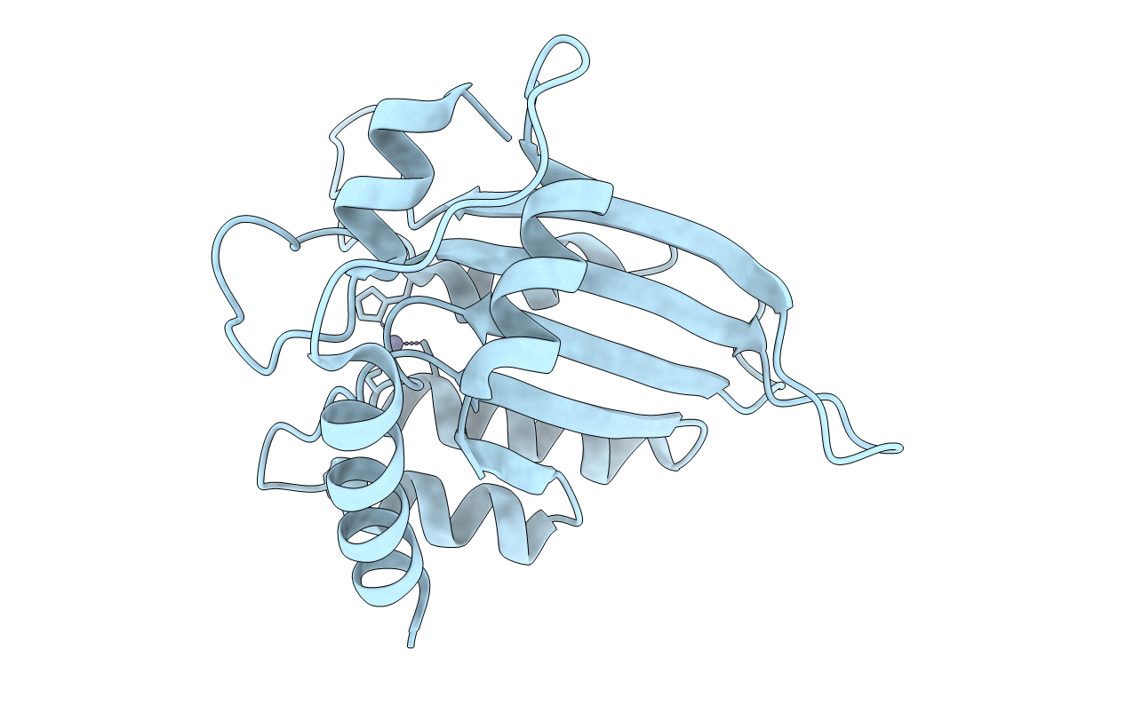 3E1U image