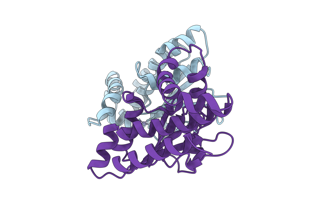 3E1V image