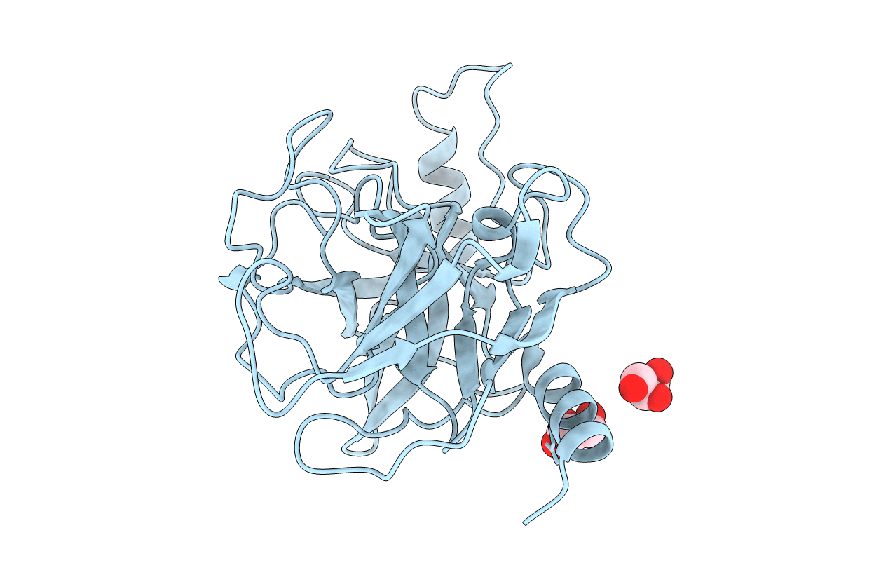 3E1X image