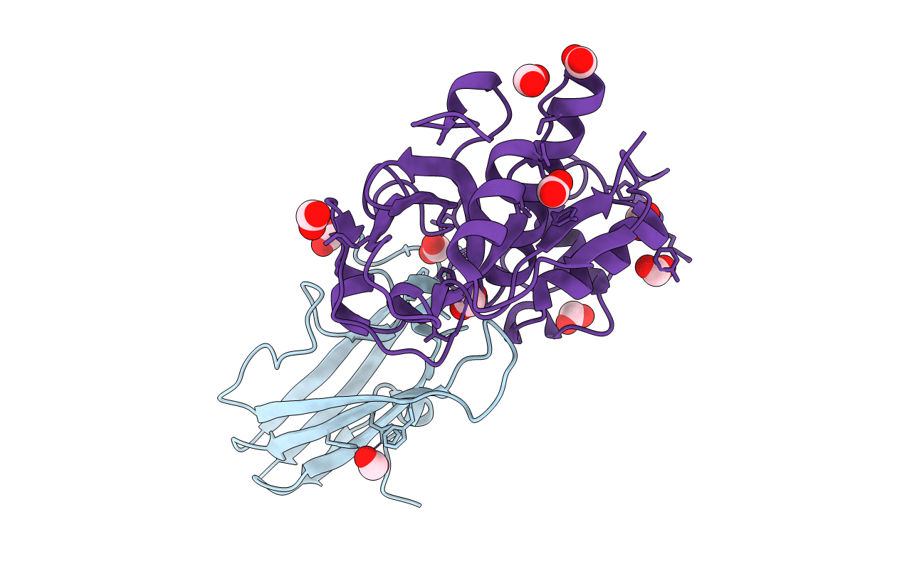 3E1Z image