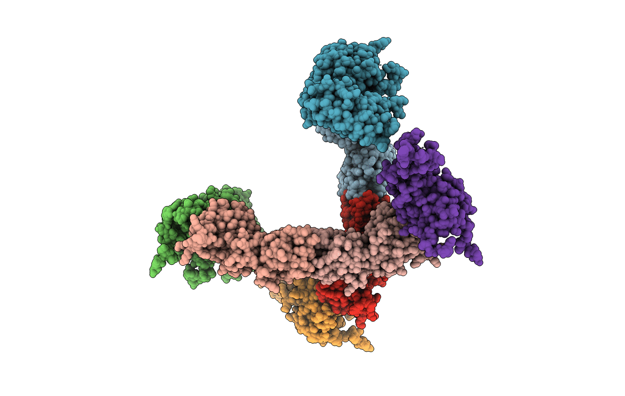 3E20 image