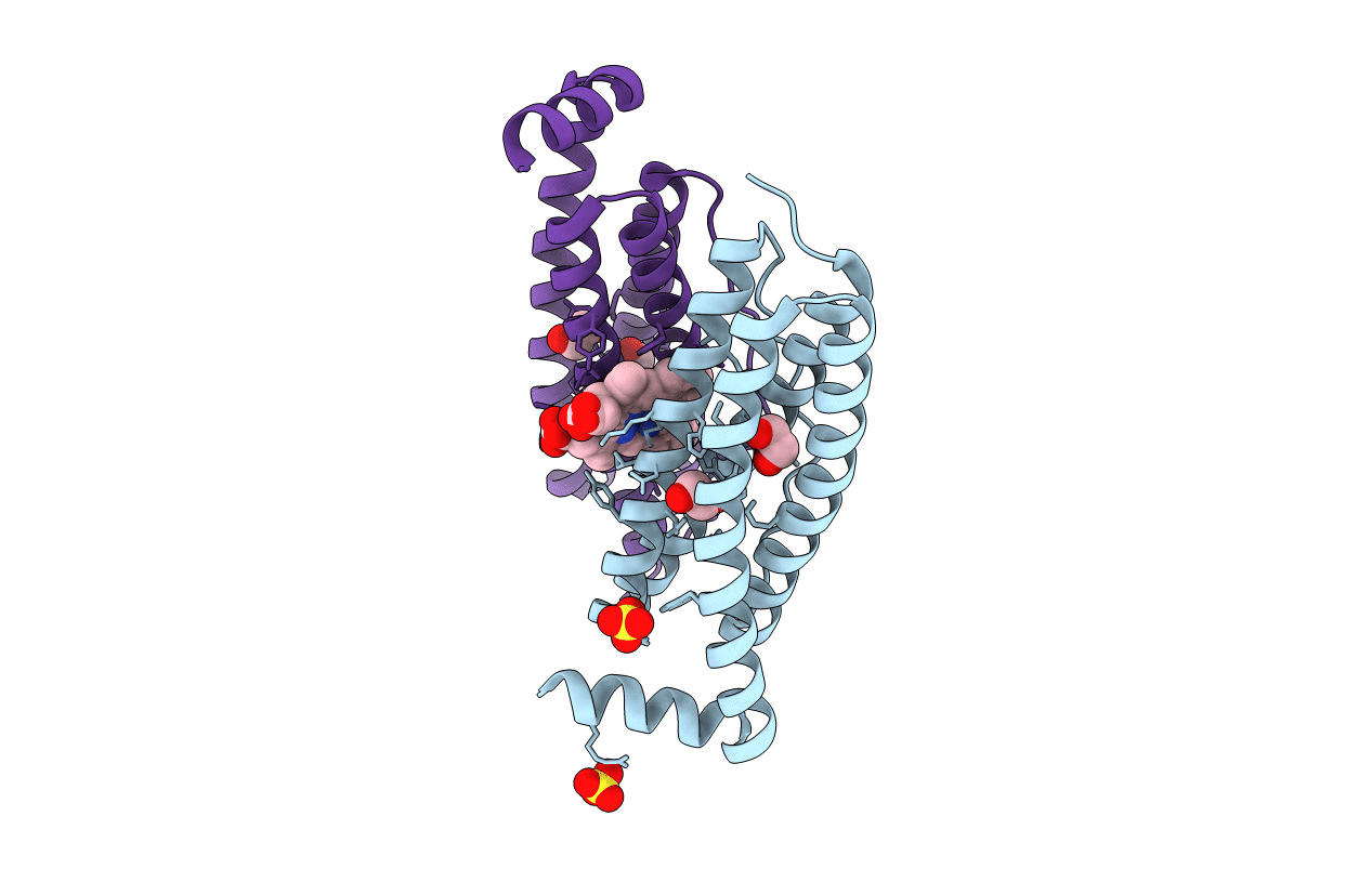 3E2C image