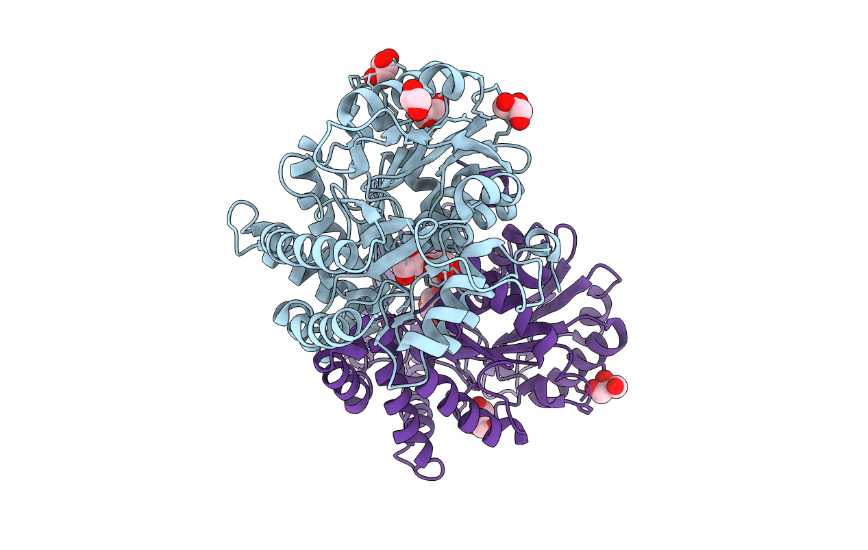 3E2F image