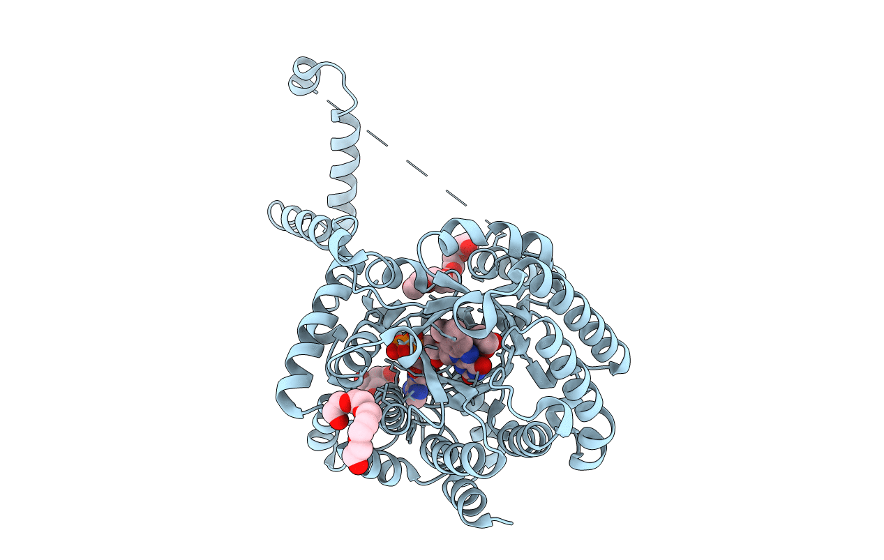 3E2R image