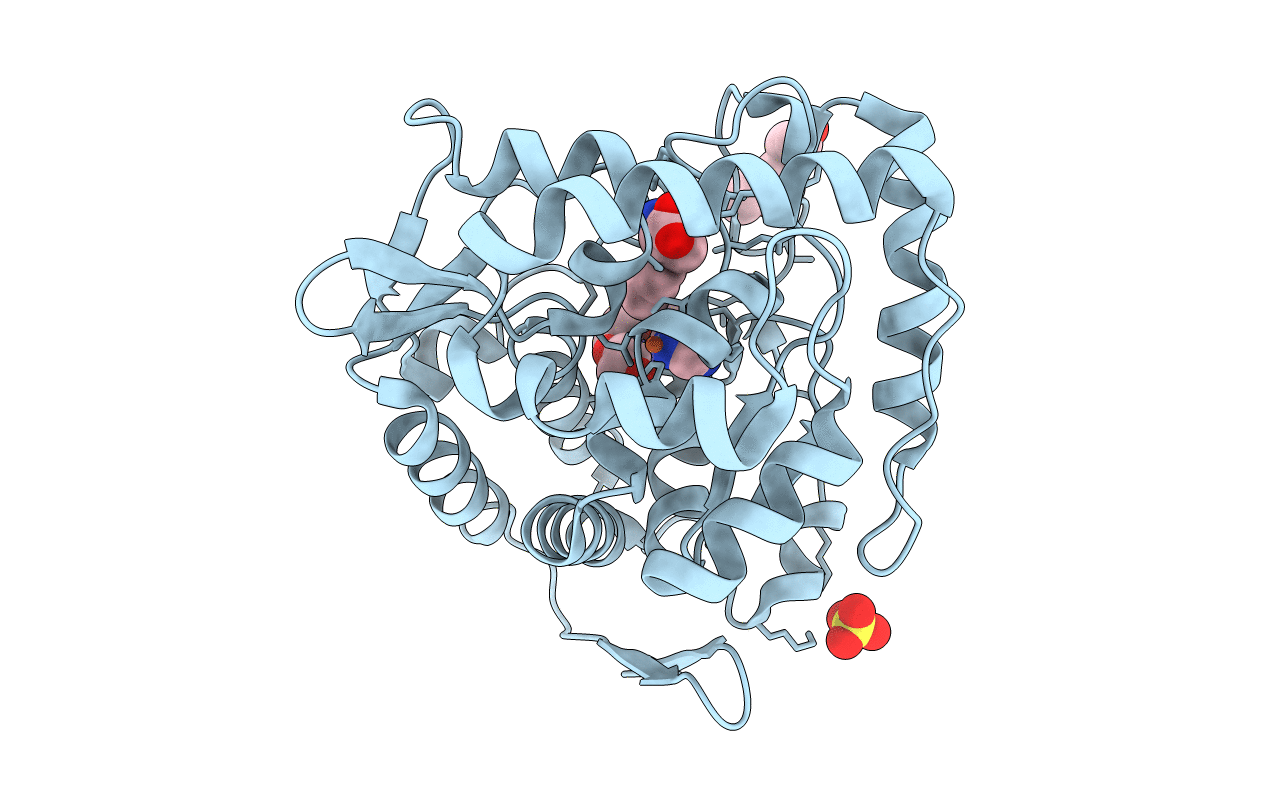 3E2T image