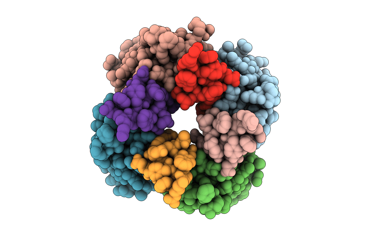3E2U image