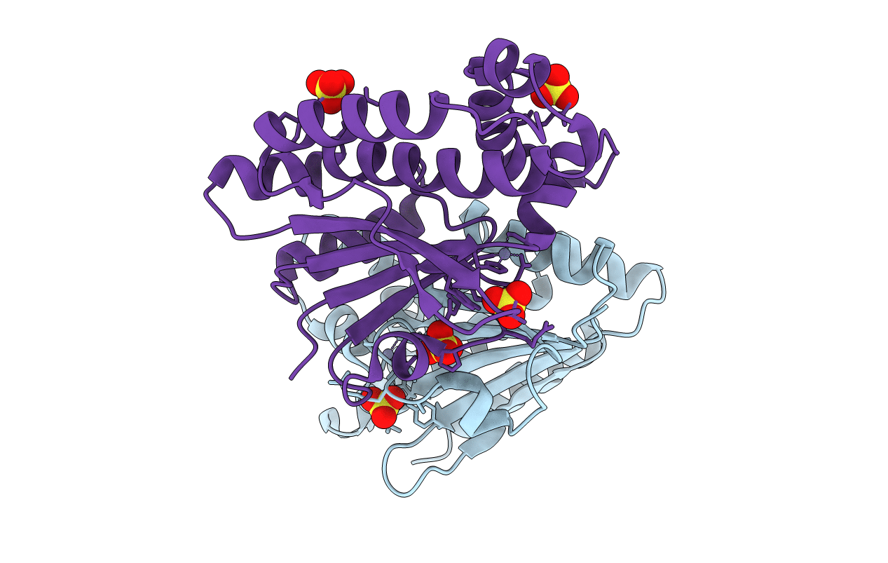 3E2X image