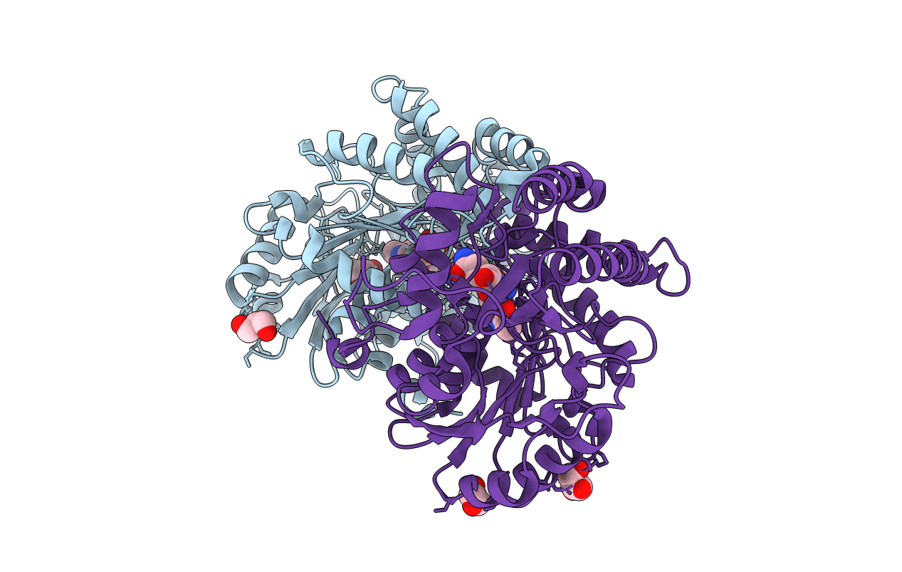 3E2Y image
