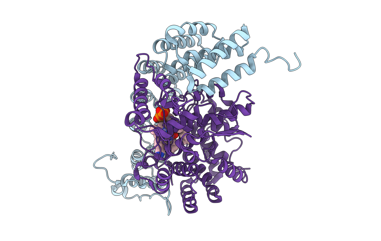 3E32 image