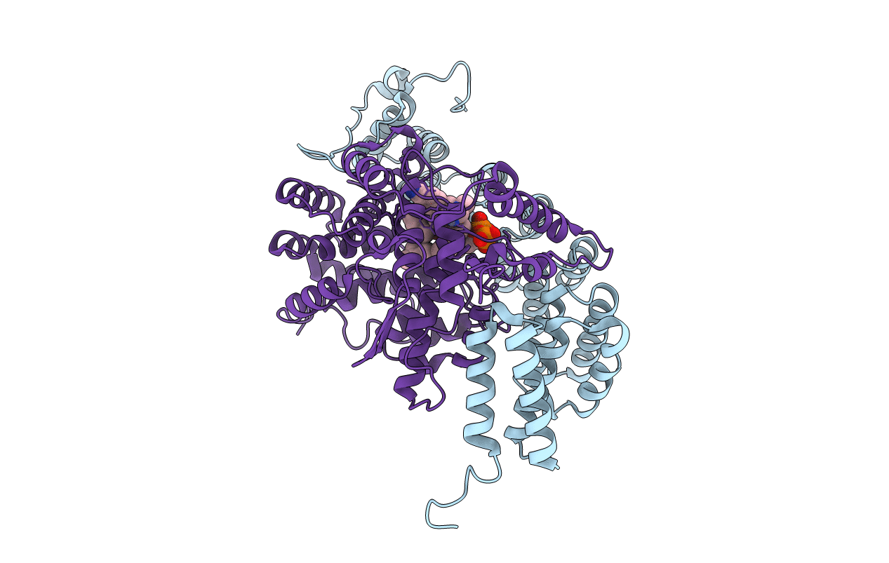 3E33 image