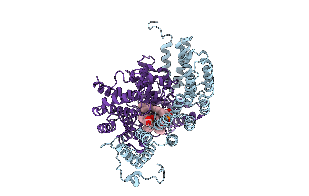 3E34 image