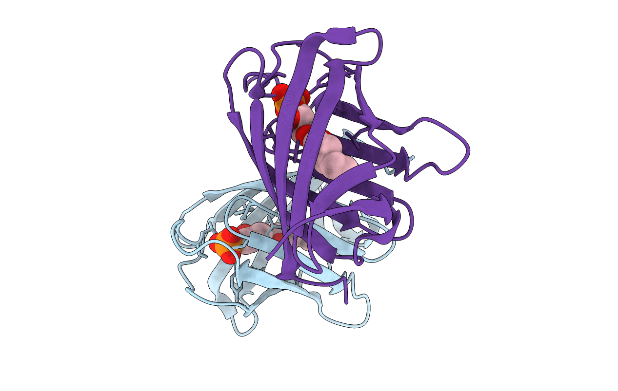 3E3C image