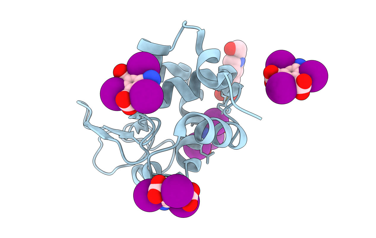 3E3D image