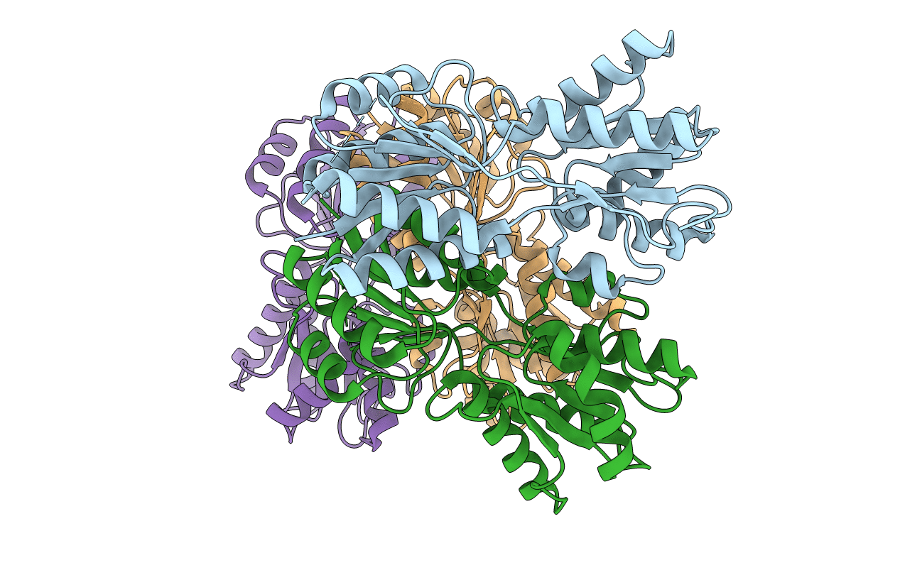 3E3M image