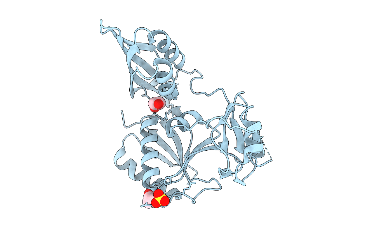 3E3X image