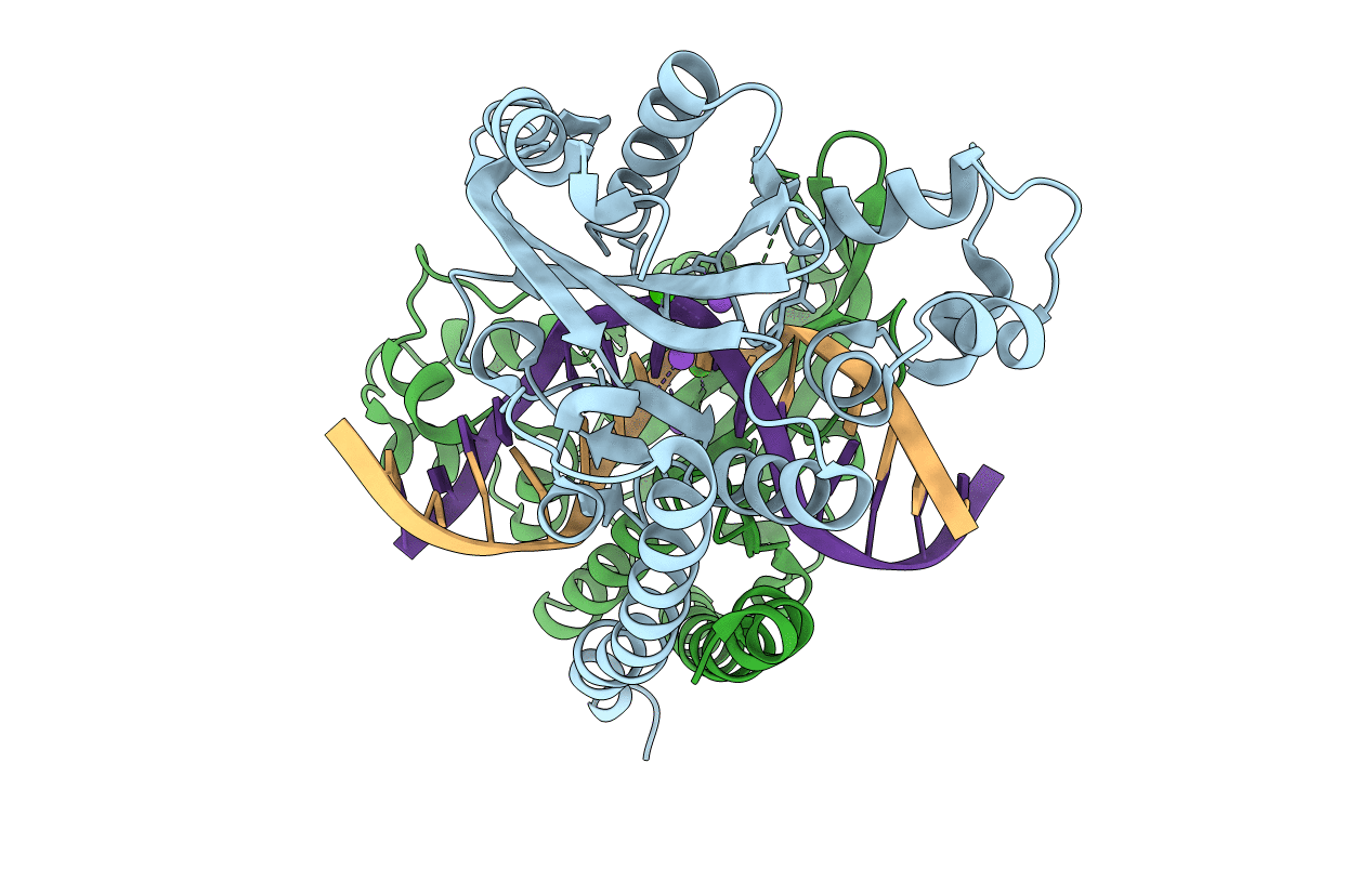 3E40 image