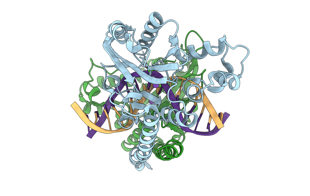 3E42 image