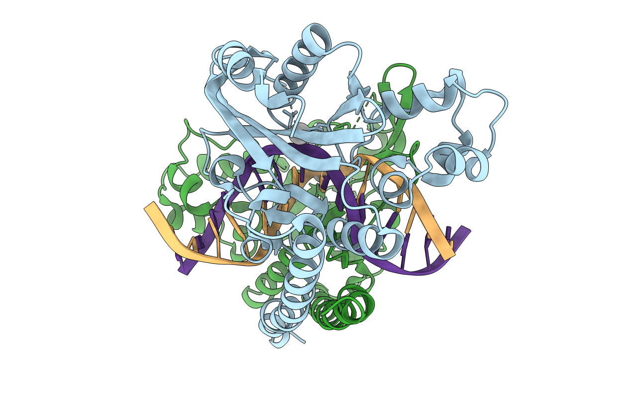 3E43 image
